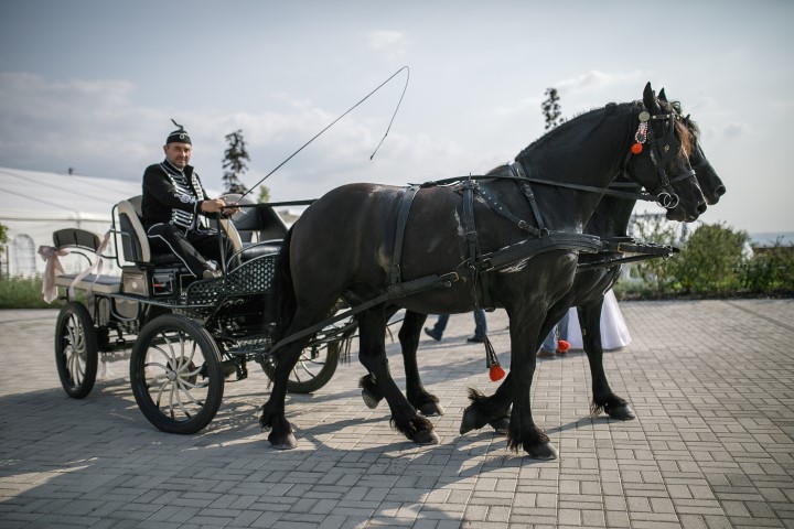 svadobný kočiar